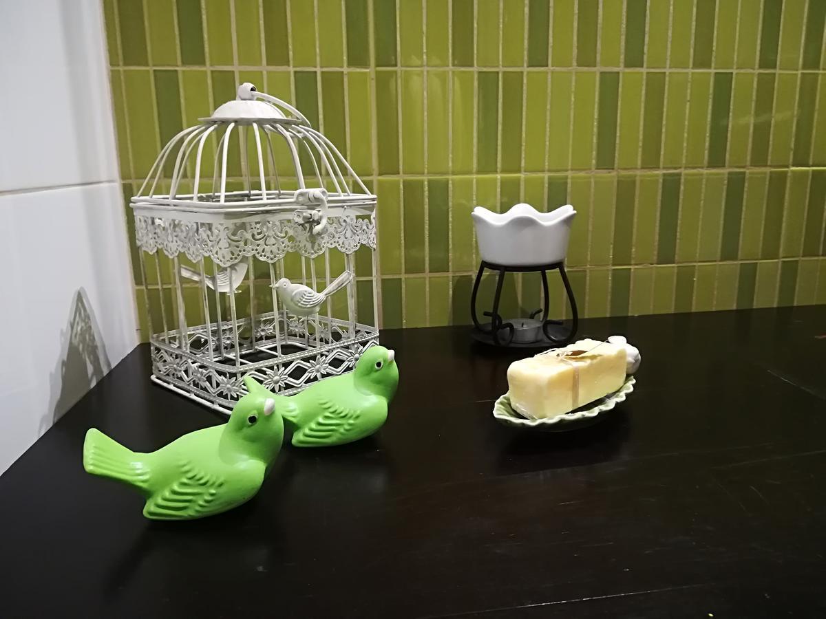 Casa Da Ribeira Apartment Santarém Екстериор снимка